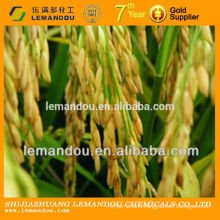Rice bactericide white ropy and fluid suspension carbendazim WP